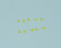 Daylight pen rearward Yellow (10pcs)
