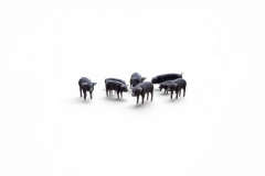 Pig figures (10pcs)